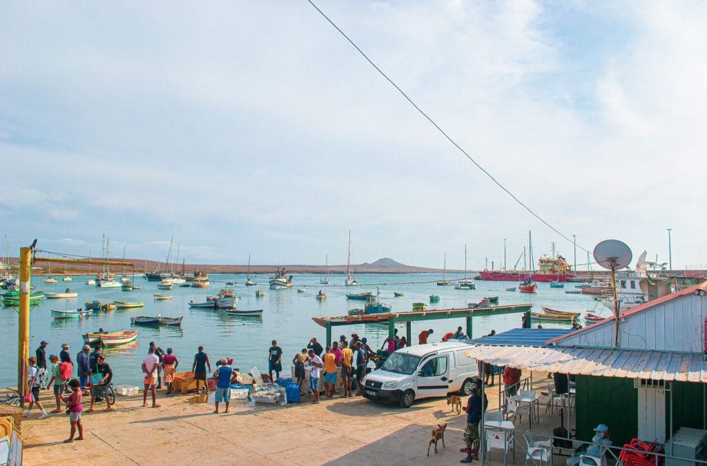 Palmeira Port