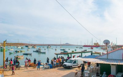 Palmeira Port